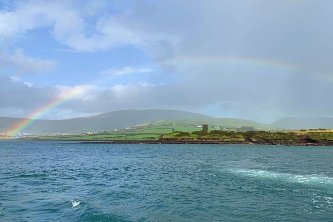 1 hour Dingle Bay Cliff Tour - The Main Sights Along Dingle Bay