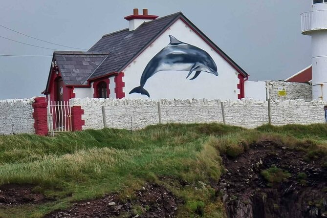 1 hour Dingle Bay Cliff Tour - Practical Tips for a Better Hour