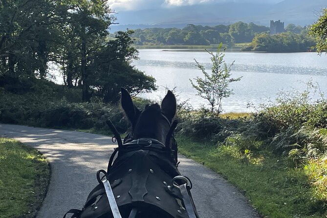 1 Hour Guided Carriage Tour in Killarney National Park - The Lakes of Killarney and the best views