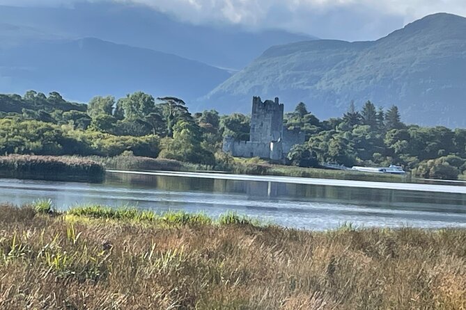 1 Hour Guided Carriage Tour in Killarney National Park - What the guides add to the experience