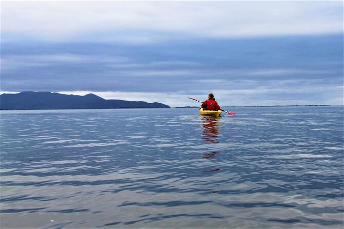 2.5 Hour Guided Sea Kayaking in Roundstone Bay - Reaching the island when conditions and ability allow