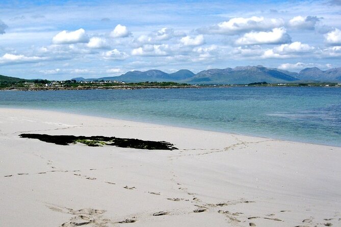 2.5 Hour Guided Sea Kayaking in Roundstone Bay - Who will get the most from this outing?