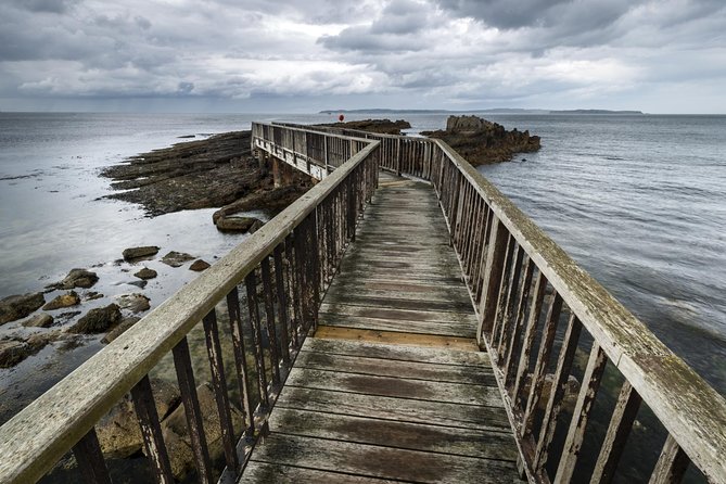 2-Day 'Game of Thrones' Rail Tour from Dublin Incl. Belfast and Giant's Causeway - The Dark Hedges is beautiful, but timing matters