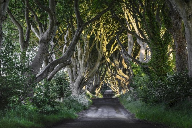 2-Day Northern Ireland Tour from Dublin Including Belfast and Giants Causeway - Day two: the north coast’s big views