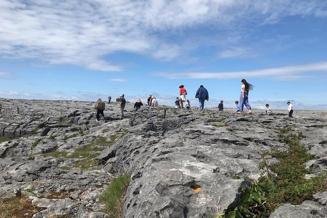 2-Day Rail Tour: Galway, Cliffs of Moher & Medieval banquet in Bunratty Castle - Bunratty Castle and Folk Park in daylight