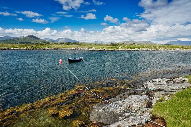 2-Day Western Ireland Tour from Dublin:Including Galway and Cliffs of Moher - Galway after the coaches leave