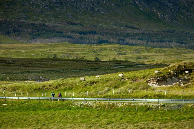2-Day Western Ireland Tour from Dublin:Including Galway and Cliffs of Moher - Guides, coaches, and the practical side of the trip
