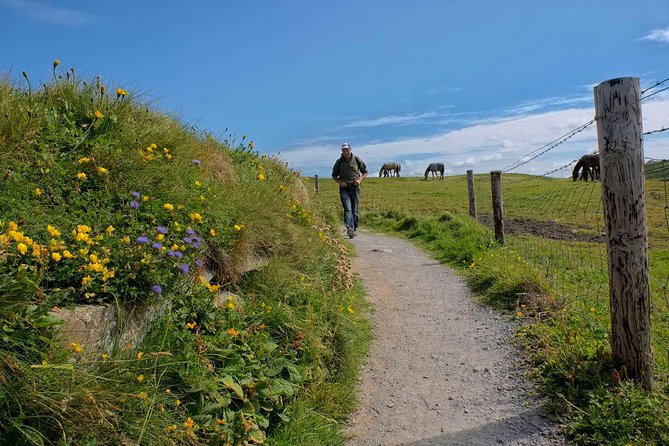 2-Day Wild Atlantic Way Tour From Dublin - The bus change and overnight on the Dingle Peninsula