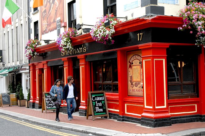 2 Hour Walking Tour of Dublin's City Centre - Temple Bar beyond the pub signs