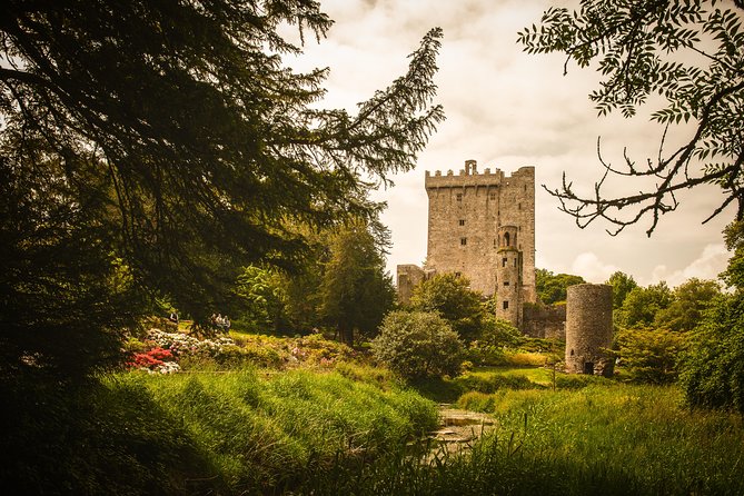 3-Day Blarney Castle, Kilkenny & Irish Whiskey Tour Inc Admission - Waterford, Ireland’s oldest city