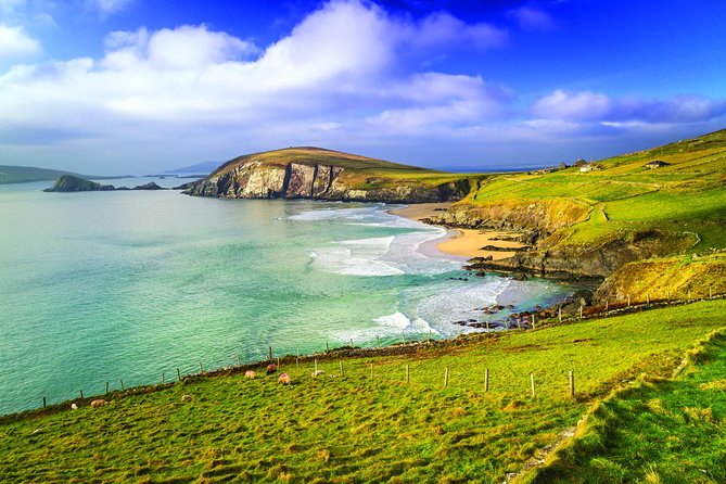 3-Day Dingle, Killarney and the Wild Atlantic Way Small-Group Tour from Dublin - What the small coach changes