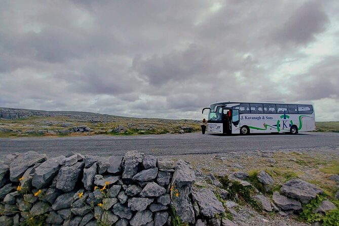 4-Day Guided Tour to Discover Ireland and Dublin - Who should book this four-day Ireland package