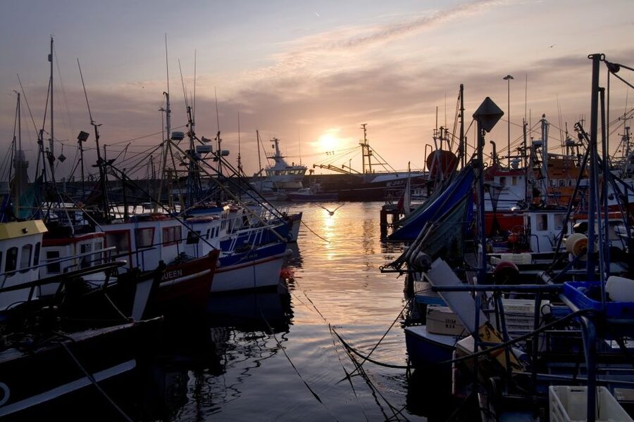 6-Day Tour of Southern Ireland from Dublin - The Cliffs of Moher are the headline stop