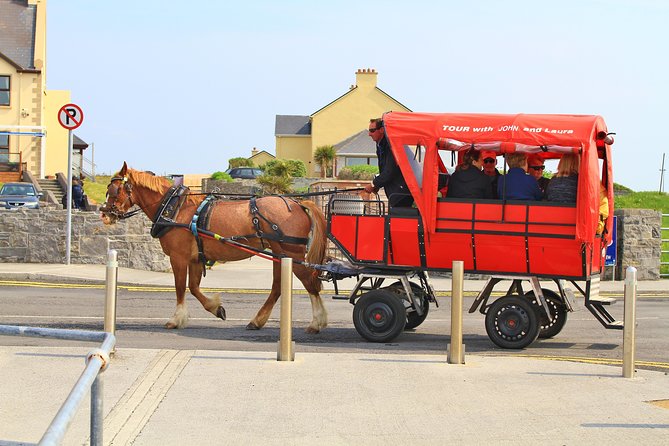 8 Day Emerald Explorer Small Group of tour of Ireland - Day 7: Kylemore Abbey, Killary Harbour, and a sheepdog show