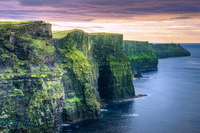 Aran Island, Cliffs of Moher & Cruise tour from Galway. Guided. - The Cliffs from above, with only an hour to spare