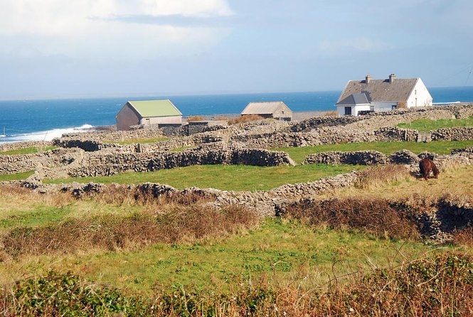 Aran Islands Bike Tour with Tea and Scones from Galway - Key points to know before booking