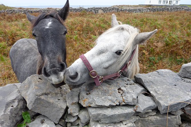 Aran Islands Scenic Flight and Galway Rail Tour from Dublin - What the $247.27 price really covers