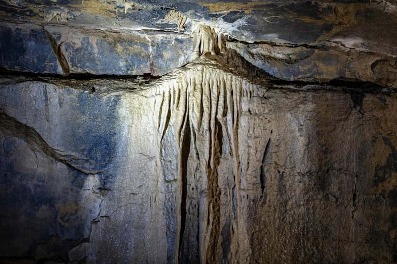 Ballyvaughan: Aillwee Burren Experience Entry Ticket - Key points to know before you go