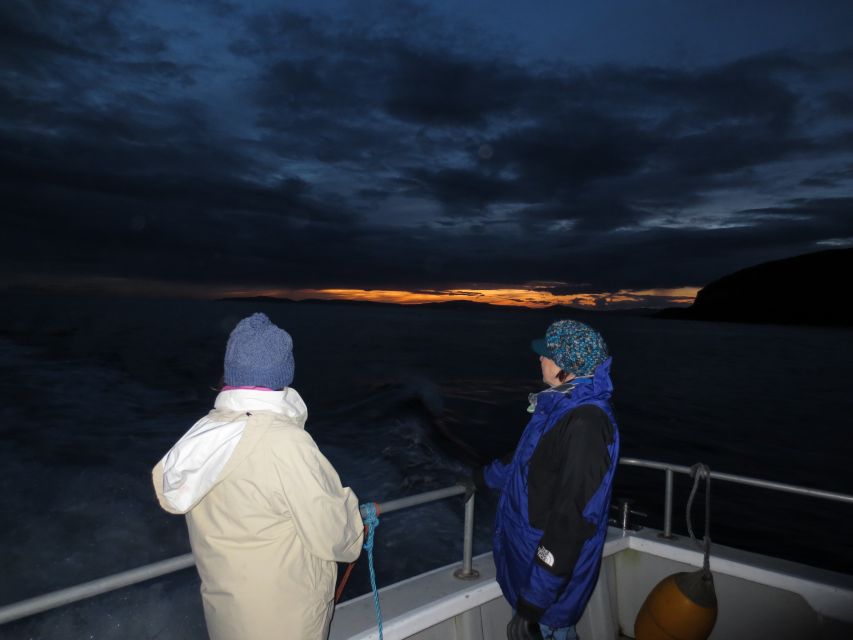 Baltimore Harbor: Sunset Cruise to Fastnet Rock Lighthouse - What to bring for the sunset departure