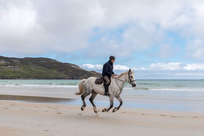 Beach & countryside horse riding outside Westport. Guided. 1 hour - Who should book this Westport ride