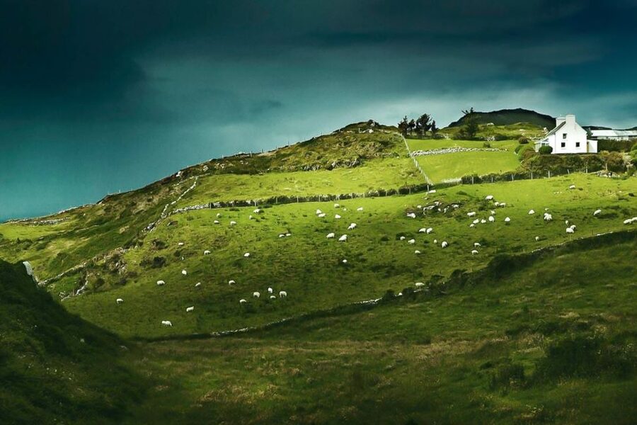 Best of Ireland 6-Day Backpackers Economy Tour - Key points to know before booking