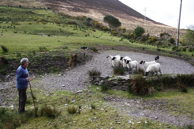 Best Ring of Kerry Tour ex Killarney inc Killarney National Park - Sneem is the best village pause