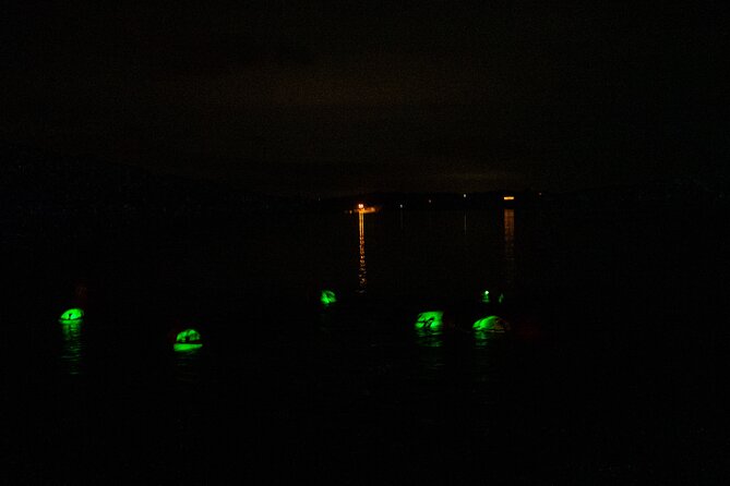 Bioluminescent Swim Experience in West Cork with Storytelling - Key points to know before you book