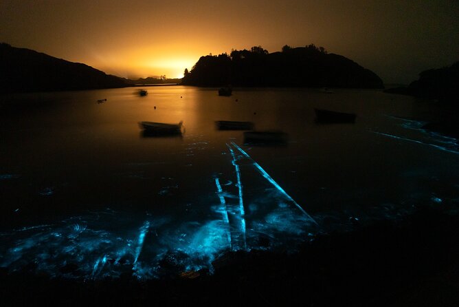 Bioluminescent Swim Experience in West Cork with Storytelling - Meeting in Castletownsend and heading to Castle Haven