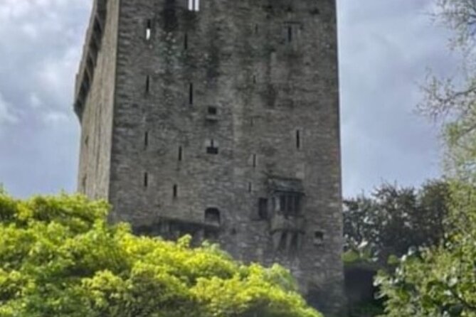 Blarney Castle and Cork City 2025 award winning minibus tour - Is the private price good value?