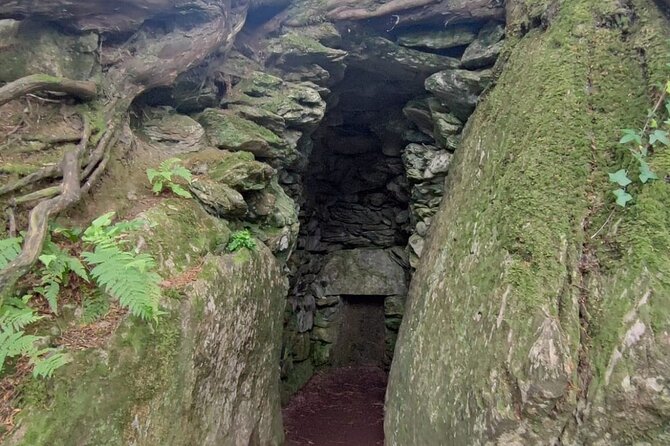Blarney Castle Cork City and Jameson Distillery Small groups - Cork in one hour: sights, lunch, and the English Market