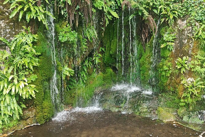 Blarney Castle Cork City and Jameson Distillery Small groups - Who should book this Cork excursion?