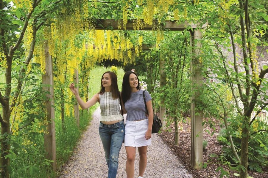 Blarney Castle Full-Day Tour from Dublin - Cork and the English Market in one compact stop
