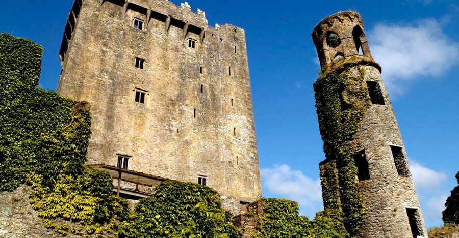 Blarney Castle Full-Day Tour from Dublin - Who should book this tour?