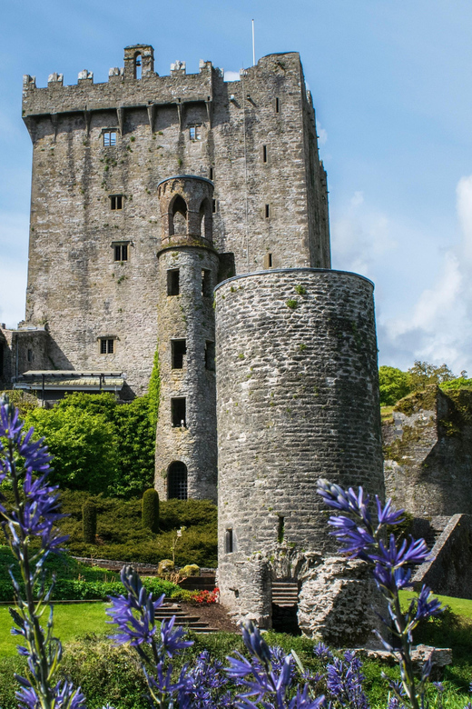 Blarney Castle: Private Guided Day Tour from Dublin - The Rock of Cashel Above Tipperary