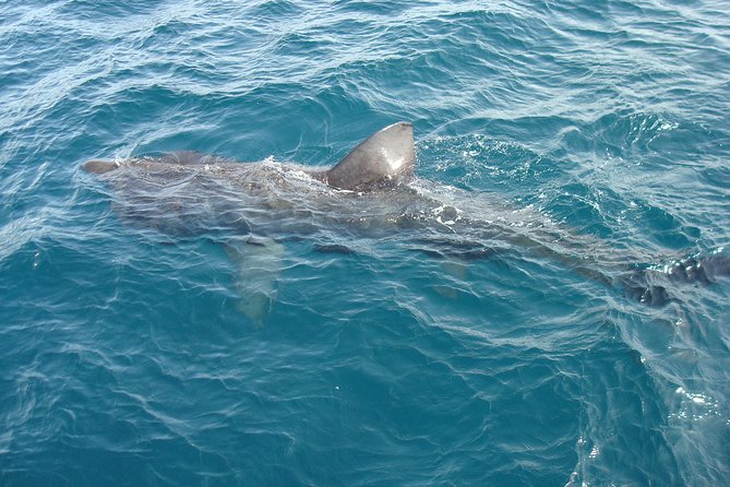 Blasket Island Eco Tour. - What the boat ride feels like in real weather