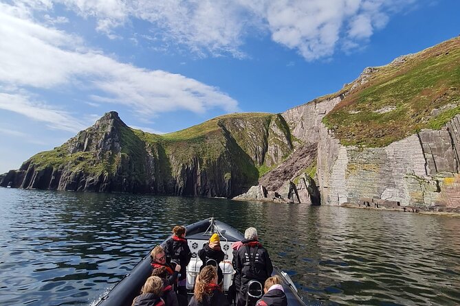 Blasket Island Sea Life Rib Tour, - Wildlife on the Atlantic