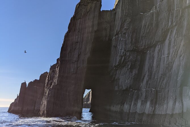 Boat Tour of Dingle Peninsula - Is $20.57 a good price?