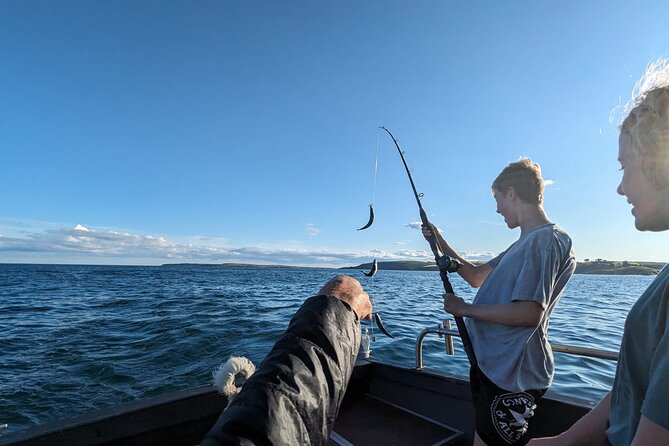 Boat Tour of Kinsale Harbour and Bandon River - Key points to know before you book