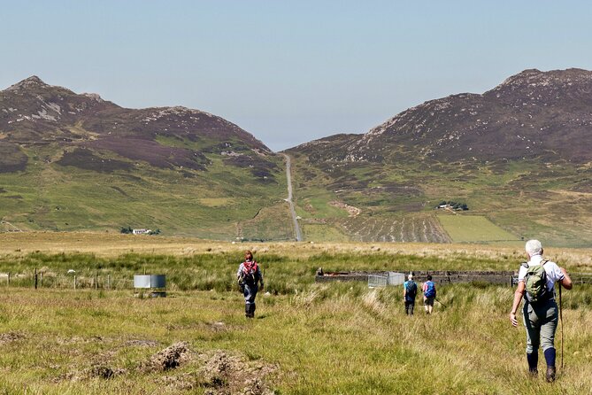 Bog Safari Hike - Key points about the Bog Safari Hike