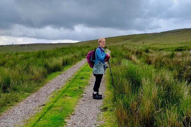 Bog Safari Hike - Why an Irish bog is worth your time