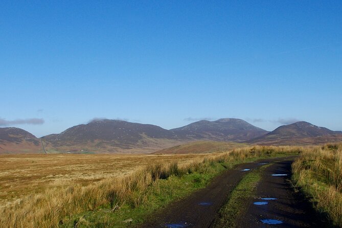 Bog Safari Hike - Myths, legends, and an ancient monastic site