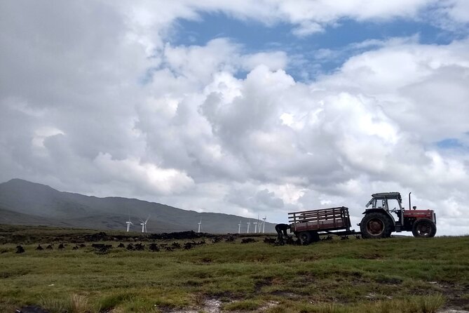 Bog Safari Hike - Biodiversity and the climate question