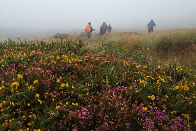Bog Safari Hike - Big Atlantic views away from the crowds