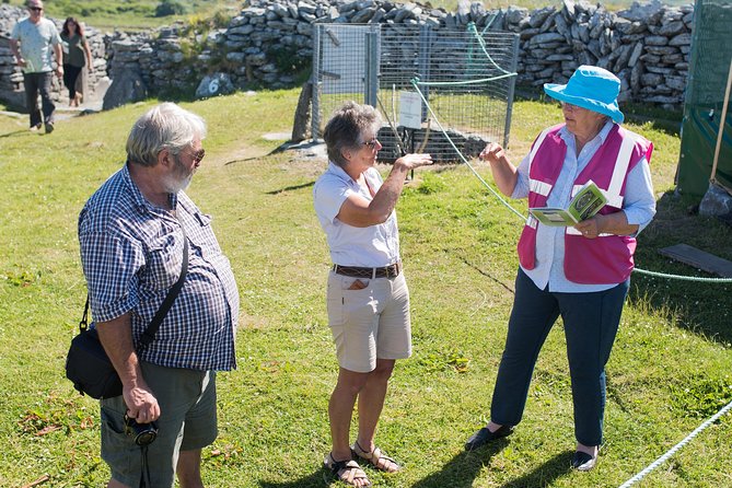Caherconnell Fort & Sheepdog Demonstrations - Why the fort tour is worth your time