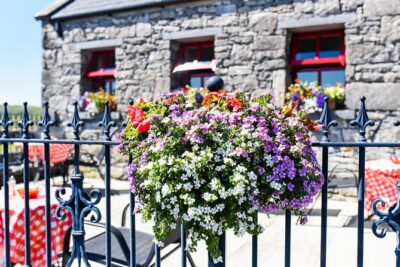 Caherconnell Fort & Sheepdog Demonstrations