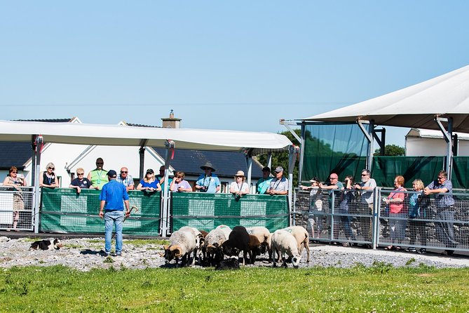 Caherconnell Fort & Sheepdog Demonstrations - Is the $34.47 price good value?