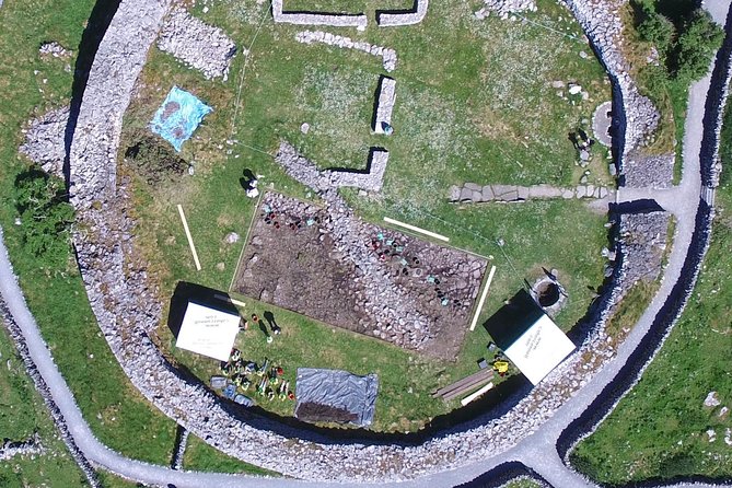 Caherconnell Fort & Sheepdog Demonstrations - A practical way to fit it into a Burren day