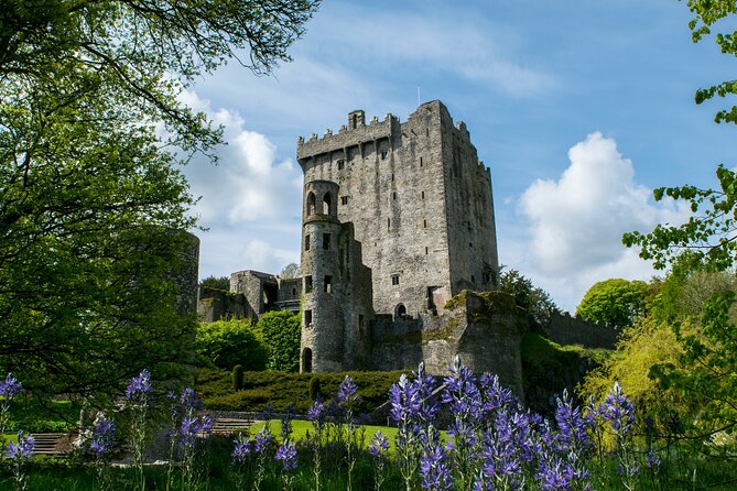 Chauffeur Blarney and Cork Private Day Tour from Dublin - What the 11.5-hour day really involves