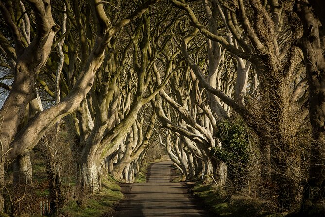 Chauffeur Giants Causeway & Belfast Private Day Tour From Dublin - Belfast adds a city break before the return
