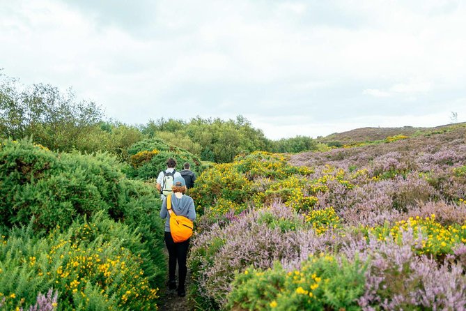 City Explorer: Howth Private Day Trip - Why Howth works so well as a Dublin side trip